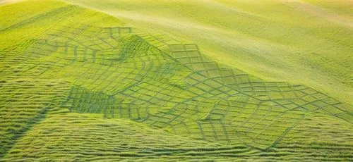 NATURAL SLOPE WITH GRASS,felted and stitched,quiltmaking,quilting,lacemaking,shibori,fabric painting,rubbings,green mermaid scale,stitching,fabric and stitch,pleating,textil,embroidering,felting,felte