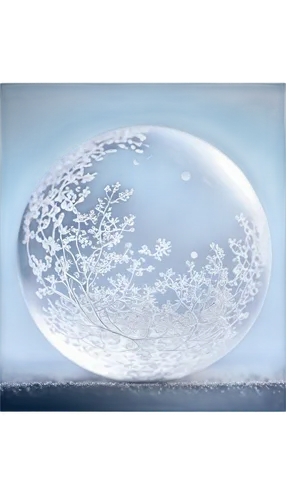 frozen soap bubble,frozen bubble,soap bubble,giant soap bubble,liquid bubble,air bubbles,soap bubbles,inflates soap bubbles,ice ball,bubble mist,ice planet,bubble,make soap bubbles,glass sphere,moon seeing ice,globule,small bubbles,water glace,quarantine bubble,snow globe,Illustration,Japanese style,Japanese Style 12