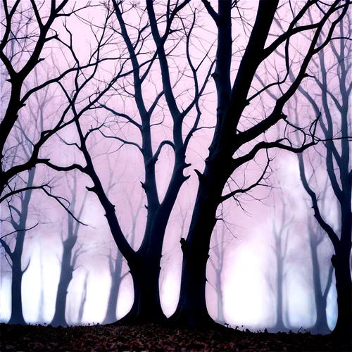 foggy forest,halloween bare trees,haunted forest,beech trees,winter forest,tree grove,enchanted forest,ghost forest,copses,row of trees,copse,forest of dreams,grove of trees,the trees,deciduous forest,elven forest,bare trees,fairy forest,forest dark,tree lights,Photography,Fashion Photography,Fashion Photography 01