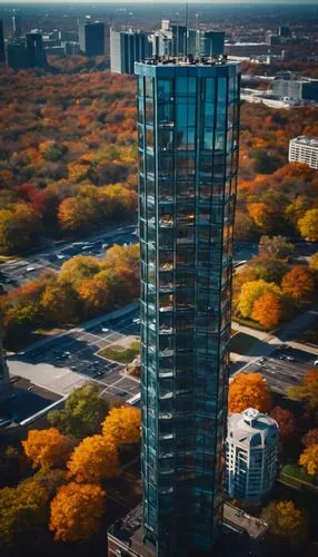 toronto,residential tower,sky city tower view,renaissance tower,urban towers,toronto city hall,omaha,highrise,high-rise,high rise,the trees in the fall,ottawa,dallas,fall colors,the skyscraper,olympia