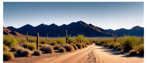 desert desert landscape,desert landscape,desert background,arid landscape,desert,desert plants,the desert,capture desert,richtersveld,desertlike,argentina desert,landscapre desert safari,inyokern,mojave desert,dirt road,desert plant,desert run,semidesert,quartzsite,deserts,Photography,Documentary Photography,Documentary Photography 36