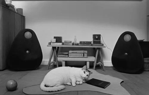 black and white pograph of a cat sitting on top of a rug,meditator,zazen,meditating,meditations,suara,sound space,Photography,Black and white photography,Black and White Photography 11