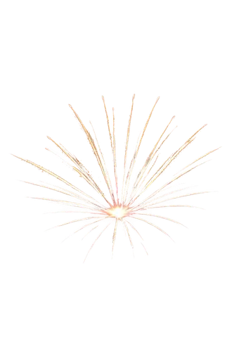 spirography,fireworks rockets,firework,enokitake,fireworks art,missing particle,branched asphodel,flowers png,fireworks background,spiny,matchstick,fireworks,hand draw vector arrows,last particle,spines,generated,purple salsify,feather bristle grass,stamen,pentecost carnation,Illustration,Paper based,Paper Based 14