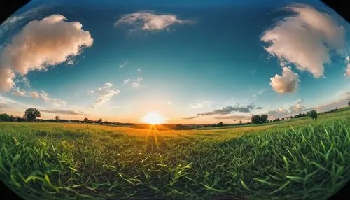 photosphere,grain field panorama,360 ° panorama,stereographic,landscape background,nature background,biopesticides,wheat germ grass,triticale,sunburst background,background view nature,agroecology,evapotranspiration,microstock,wheat crops,fisheye,meadow landscape,ryegrass,aggriculture,monoculture,Photography,General,Cinematic