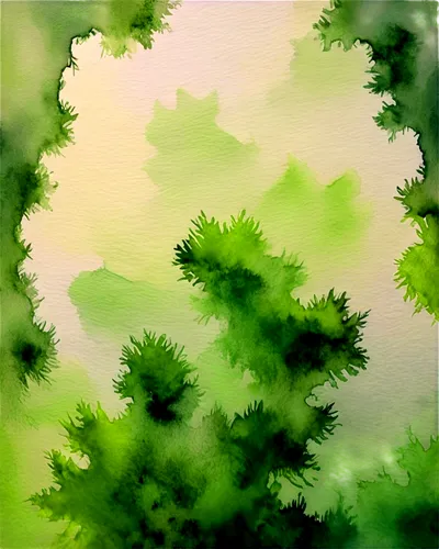 watercolor pine tree,green landscape,conifers,green forest,coniferous forest,green trees,spruce-fir forest,swampy landscape,watercolor leaves,coniferous,watercolor background,forest moss,pine trees,ferns,green background,parsley leaves,fir forest,green leaves,evergreen trees,tree canopy,Illustration,Paper based,Paper Based 24