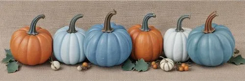 decorative squashes,ornamental gourds,decorative pumpkins,gourds,calabashes,seasonal autumn decoration