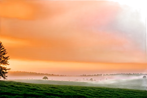 foggy landscape,landscape background,taunus,vulkaneifel,landschaft,sauerland,westerwald,landscape red,nature background,thuringia,virtual landscape,palouse,ore mountains,volumetric,landscape,landscapes,ardennes,dusk background,evening atmosphere,landscape nature,Illustration,Children,Children 02