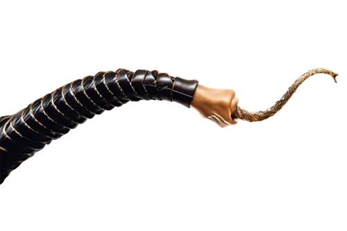 millipede,kusarigama,centipede,micropholis,wurm,glowworm,polychaete,myriapods,millipedes,alien weapon,earwig,ovipositor,electromagnet,constellation snake bearer,ercp,vector screw,gopendra,centipedes,caecilian,bullwhip,Art,Artistic Painting,Artistic Painting 09