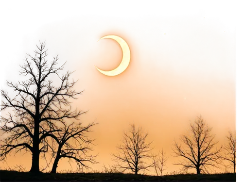 crescent moon,solar eclipse,eclipses,eclipse,crescent,ecliptic,eclipsing,eclipsed,total eclipse,moon and star background,ring fog,totality,golden ring,twiliight,windclan,cloud shape frame,hanging moon,fireheart,vulpeculae,waxing crescent,Illustration,Japanese style,Japanese Style 15