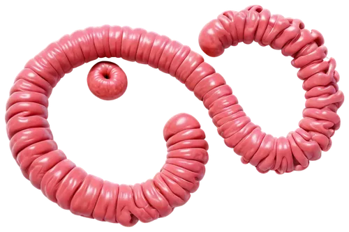 e-coli,intestines,mitochondrion,escherichia coli,nematode,ringed-worm,e-coli hazard,worm,bologna sausage,polyp,strozzapreti,pipe cleaner,pellworm,bacillus,longaniza,inflatable ring,sausage plate,boerewors,coils,cumberland sausage,Illustration,Realistic Fantasy,Realistic Fantasy 32