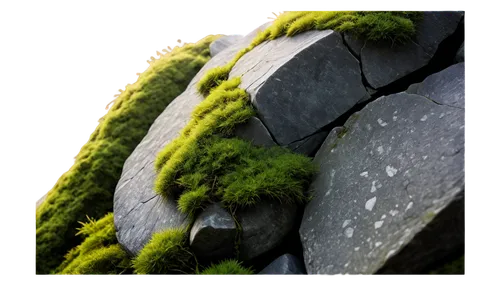 Rock, monumental stone, rugged surface, detailed cracks, moss growth, morning dew, soft sunlight, 3/4 composition, shallow depth of field, warm color tone, cinematic lighting, close-up shot, realistic