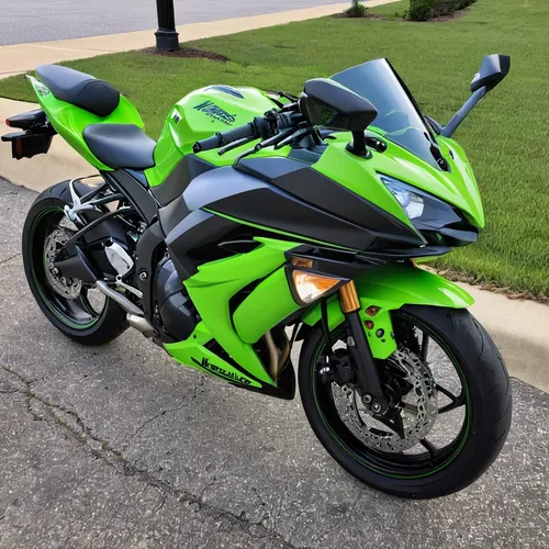 yamaha r1,fresh green,race bike,bike colors,motorcycle fairing,yamaha,2600rs,2866 ccm,1680 ccm,motor-bike,patrol,moto gp,bike,motorcycle,leaf green,two stroke,two wheels,green power,motorcycles,motorcycle accessories,Illustration,Realistic Fantasy,Realistic Fantasy 14