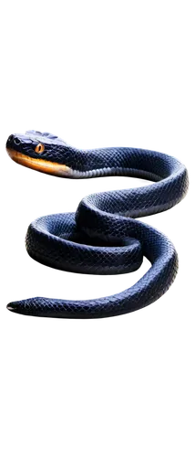 eastern indigo snake,mooring rope,fastening rope,red bellied black snake,ringneck snake,san joaquin coachwhip,boat rope,elastic rope,cordage,plains gartersnake,western terrestrial garter snake,blue snake,rope (rhythmic gymnastics),common garter snake,eastern coral snake,sharptail snake,garter snake,rope tensioner,ski rope,steel rope,Art,Artistic Painting,Artistic Painting 39