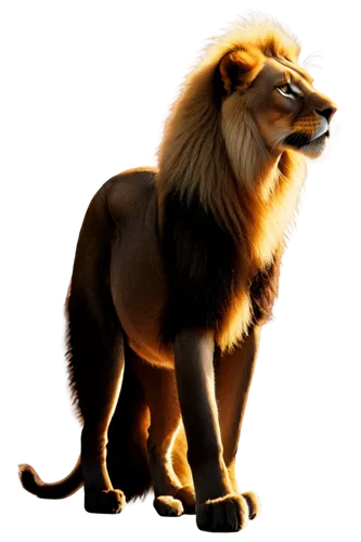 male lion,panthera leo,forest king lion,lion,female lion,skeezy lion,african lion,masai lion,zodiac sign leo,lion king,the lion king,lion's coach,lion father,lion number,king of the jungle,lioness,oriental longhair,simba,leo,kyi-leo,Illustration,Realistic Fantasy,Realistic Fantasy 41