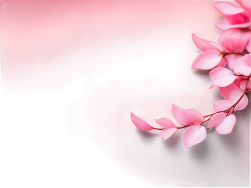 pink petals,pink floral background,sakura flower,pink flower,pink magnolia,pink plumeria,flower background,pink hyacinth,flower wallpaper,pink flowers,japanese sakura background,pink tulip,japanese floral background,flower pink,pink tulips,sakura flowers,impala lily,sakura blossoms,flowers png,pink clover,Art,Classical Oil Painting,Classical Oil Painting 40