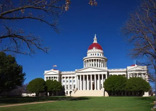 state capital,capitol buildings,statehouses,capitol building,sacramento,statehouse,capital building,capitol,capitol square,united states capitol,legislatively,californicum,capitols,legislatures,governorships,historic courthouse,legislates,boise,legislating,legisladores,Illustration,Vector,Vector 05