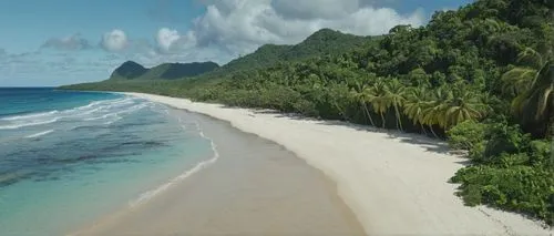 south pacific,tropical beach,ocean,water,south sea,beach,Photography,General,Natural