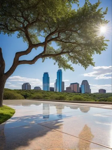 kvue,atx,wfaa,austinites,dallas,austinite,kxan,reflecting pool,zilker,okc,centennial park,tulsa,austin,hemisfair,mfah,wbap,lbk,clt,texasville,texasinst,Illustration,Retro,Retro 09