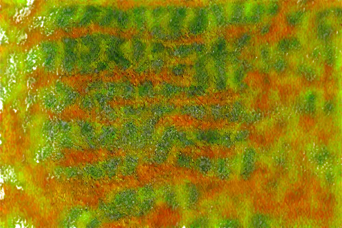 scan strokes,biofilm,cytokeratin,veil yellow green,matrix code,computer tomography,biofilms,confocal,xerography,hyperstimulation,chameleon abstract,epigrapher,color texture,lichenized,xrf,fruit pattern,watermarks,deep fried,bitmapped,green tree phyton,Conceptual Art,Daily,Daily 02