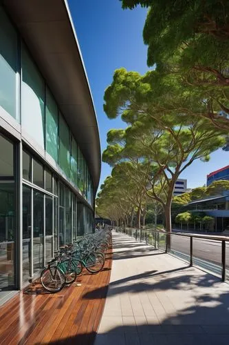 esade,champalimaud,technion,bocconi,embl,landscape design sydney,iese,epfl,audencia,neutra,antinori,landscape designers sydney,montmelo,bicocca,ucsd,insead,gulbenkian,conservatoires,quadriennale,parque estoril,Illustration,Japanese style,Japanese Style 05