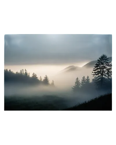 foggy landscape,foggy mountain,fog banks,carpathians,morning mist,foggy forest,bavarian forest,mist,veil fog,landscape background,morning fog,mists over prismatic,early fog,wave of fog,ground fog,trossachs national park - dunblane,fog,dense fog,high fog,emission fog,Photography,General,Natural