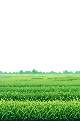 green fields,green wallpaper,green landscape,landscape background,grain field panorama,green background,green wheat,cartoon video game background,green grain,ricefield,background vector,aaaa,nature background,cornfield,mobile video game vector background,frog background,green grass,gras,farm background,corn field,Unique,Pixel,Pixel 01