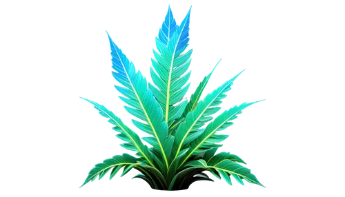 palm tree vector,pineapple background,cycas,pineapple lily,palmtree,pineapple plant,palm leaf,dracena,palm leaves,macrozamia,palm lily,cactus digital background,aloe,fishtail palm,aloes,tropical leaf,palm,aloe vera leaf,sweet grass plant,zamia,Photography,Artistic Photography,Artistic Photography 02