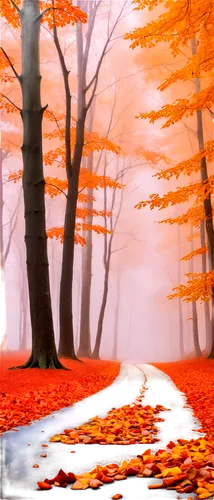 autumn background,autumn forest,autumn fog,autumn frame,autumn scenery,autumn morning,the autumn,autumn day,autumn idyll,autumn round,autumn landscape,autumn theme,fallen leaves,autumn walk,autumn,autumn trees,just autumn,light of autumn,fall landscape,autumn leaves,Illustration,Vector,Vector 07