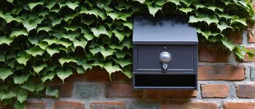 Modern architectural letterbox, sleek metal body, clean lines, minimalist design, urban style, mounted on a brick wall, surrounded by climbing vines, morning dew, subtle shadows, soft natural light, 3