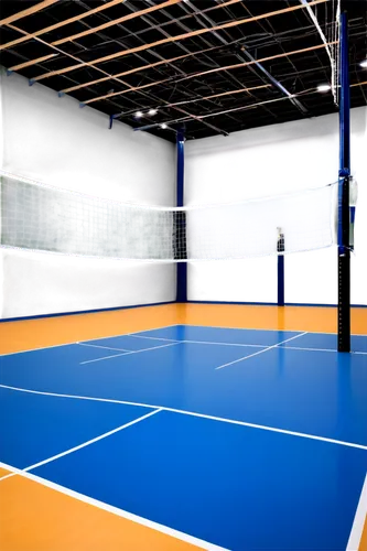 indoor games and sports,volleyball net,basketball court,tennis court,paddle tennis,volleyball,pickleball,padel,volley,para table tennis,sport venue,wall & ball sports,racquetball,real tennis,recreation room,corner ball,ball badminton,the court,racquet sport,badminton,Illustration,Vector,Vector 11