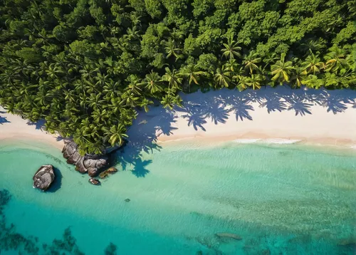 maldive islands,fiji,cook islands,philippines,seychelles,coconut trees,tropical beach,widi islands,raja ampat,aerial view of beach,maldivian rufiyaa,veligandu island,wakatobi,samoa,atoll from above,deserted island,maldives mvr,french polynesia,tropical island,philippines scenery,Art,Classical Oil Painting,Classical Oil Painting 29