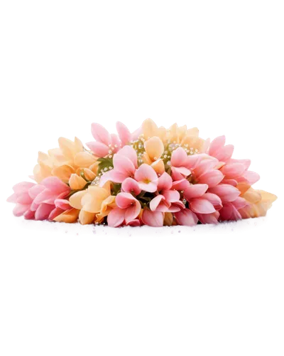 flowers png,sakura wreath,flower background,paper flower background,chrysanthemum background,floral digital background,pink floral background,flower wreath,floral background,wreath of flowers,japanese floral background,floral wreath,blooming wreath,flower garland,floral mockup,flower arrangement lying,japanese sakura background,flower basket,flowers in basket,flowerful desert,Photography,General,Cinematic