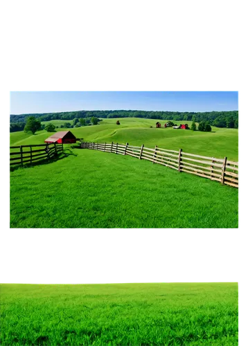 farm background,pasture fence,pastures,green fields,farmland,grassland,pasture,landscape background,fields,grasslands,background vector,hay farm,farmlands,agricultural,farm landscape,grain field panorama,farms,cropland,organic farm,field,Illustration,Black and White,Black and White 06