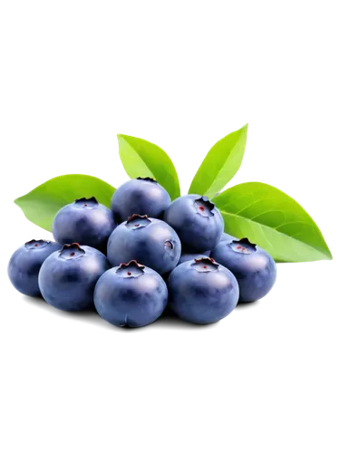 Blueberry, small, round, plump, juicy, sweet, shiny surface, green calyx, soft natural light, 3/4 composition, macro shot, shallow depth of field, warm color tone, HD texture.,bilberry,blueberries,joh