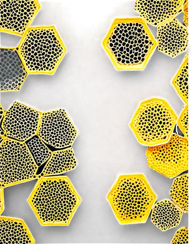 honeycomb structure,pollen warehousing,building honeycomb,honeycomb grid,sunflower paper,sunflower lace background,hexagons,trypophobia,pollen,flower wall en,hexagonal,honeycomb,bee eggs,bee colonies,flower of life,cell structure,yellow wallpaper,lemon pattern,recycled paper with cell,bee colony,Illustration,Japanese style,Japanese Style 17