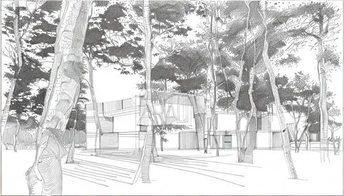 plane trees,archidaily,street plan,palma trees,school design,lafayette park,arq,cd cover,townhouses,urban design,kirrarchitecture,multistoreyed,landscape design sydney,line drawing,robinia,residences,