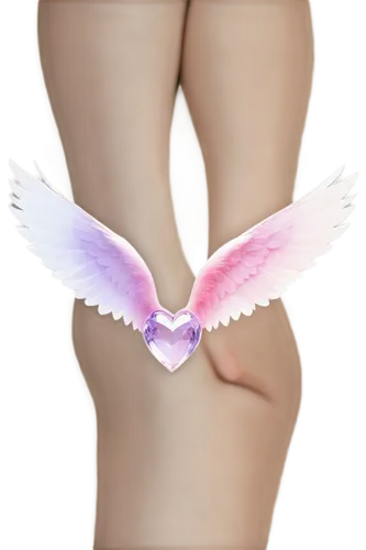 angel wings,winged heart,angel wing,wings,winged,hindwings,derivable,anjo,angels,angelman,angel girl,wing,angel,bird wings,hindwing,cyberangels,whitewings,delta wings,vintage angel,angel figure,Conceptual Art,Fantasy,Fantasy 30