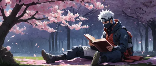 sakura background,japanese sakura background,kakashi hatake,chidori is the cherry blossoms,the cherry blossoms,sakura blossom,sakura tree,sakura blossoms,sensei,sakura trees,sakura branch,sakura,cherry blossoms,sakura flowers,naruto,tsukemono,boruto,cherry blossom,sakura flower,cold cherry blossoms,Conceptual Art,Fantasy,Fantasy 12