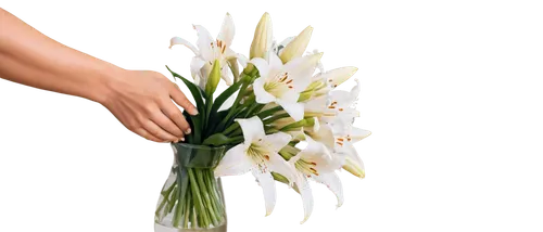 Sympathy flowers, white lilies, gentle petals, delicate stems, subtle water droplets, soft focus, warm lighting, 3/4 composition, shallow depth of field, calming atmosphere, solo, peaceful, condolence