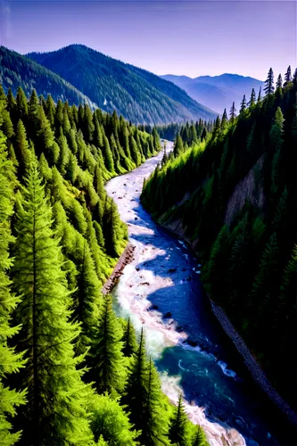 temperate coniferous forest,mckenzie river,braided river,mountain river,river landscape,british columbia,coniferous forest,flowing creek,tropical and subtropical coniferous forests,larch forests,spruce forest,fluvial landforms of streams,slowinski national park,aura river,spruce-fir forest,mountain stream,background view nature,vancouver island,river juniper,landscape background,Conceptual Art,Sci-Fi,Sci-Fi 20