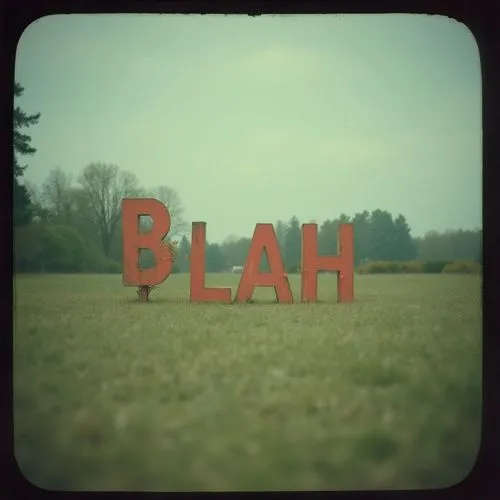 a sign in the middle of the field reading blarh,typography,lubitel 2,bisham,typographic,pinhole,blacher,Photography,Documentary Photography,Documentary Photography 07