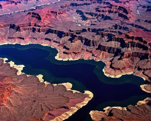 Grand Canyon from space...SO COOL!,lake powell,glen canyon,grand canyon,satellite image,satellite imagery,crater lake,snake river lakes,aerial photograph,horsheshoe bend,aeolian landform,color image,h