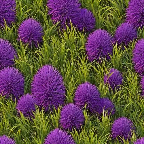 seamless multi colored purple grass  ground texture,defend,purple wallpaper,defends,senetti,wavelength,defense,lavenu,wall,lavander,violet chrysanthemum,pompons,chive flowers,raid,chives,purple chrysa