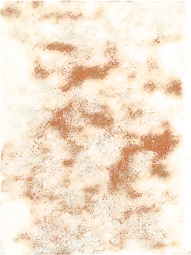 seamless texture,terrazzo,kngwarreye,marpat,biofilm,cytokeratin,monolayer,petromatrix,brown mold,meditrust,degenerative,carpet,sargassum,epidermidis,sandplains,amphibole,biofilms,terracotta tiles,peroxidation,pintada,Conceptual Art,Oil color,Oil Color 24