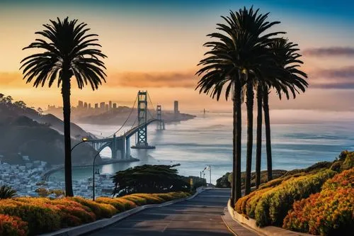 San Francisco, architectural design, modern skyscraper, glass façade, steel frame, curved lines, futuristic, foggy morning, Bay Bridge view, Alcatraz Island in distance, palm trees lining the street, 