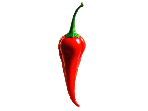 capsaicin,red chili pepper,chili pepper,red chili,chilli pepper,red pepper,cayenne pepper,cayenne,red bell pepper,bellpepper,red chile,chilli,cayenne peppers,chile pepper,pimentos,chillies,pimiento,red peppers,chilli pods,spicatum,Illustration,Realistic Fantasy,Realistic Fantasy 18