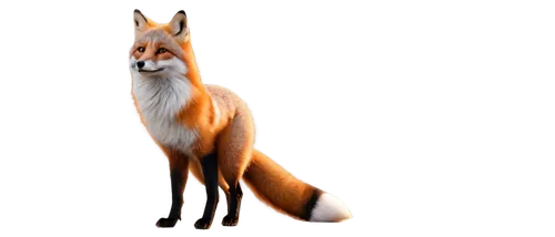 foxl,a fox,vulpine,vulpes,foxpro,fox,vulpes vulpes,foxxy,foxxx,red fox,outfoxed,foxen,redfox,foxe,the red fox,foxed,foxman,foxbat,outfox,foxmeyer,Illustration,Vector,Vector 09