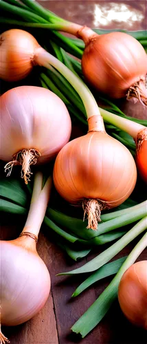 Shallots, root vegetables, brown skin, white flesh, bulbous shape, green leaves, detailed texture, soft natural light, 3/4 composition, shallow depth of field, warm color tone, cinematic lighting, clo