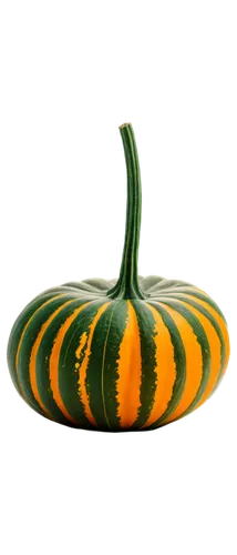 decorative squashes,pointed gourd,ornamental gourds,decorative pumpkins,cucuzza squash,gourds,figleaf gourd,gem squash,cucurbit,cucurbita,scarlet gourd,winter squash,calabaza,striped pumpkins,snake gourd,gourd,acorn squash,bitter gourd,horn cucumber,courgette,Photography,Documentary Photography,Documentary Photography 28