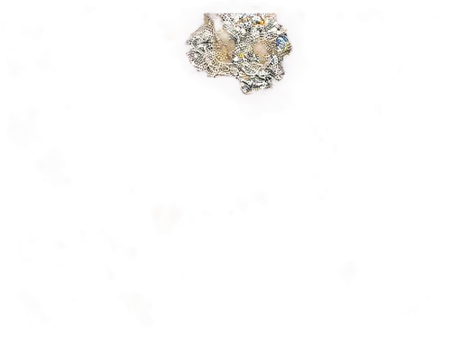 acanthamoeba,supernovae,moissanite,methone,entamoeba,daisy heart,solar quartz,angioma,ngc 6523,rotifer,iemoto,ngc 6514,ngc 6537,ngc 6543,supernova remnant,keratinocyte,isolated product image,neurospora,imbrium,heart with crown,Photography,Documentary Photography,Documentary Photography 01